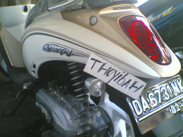 Scoopy